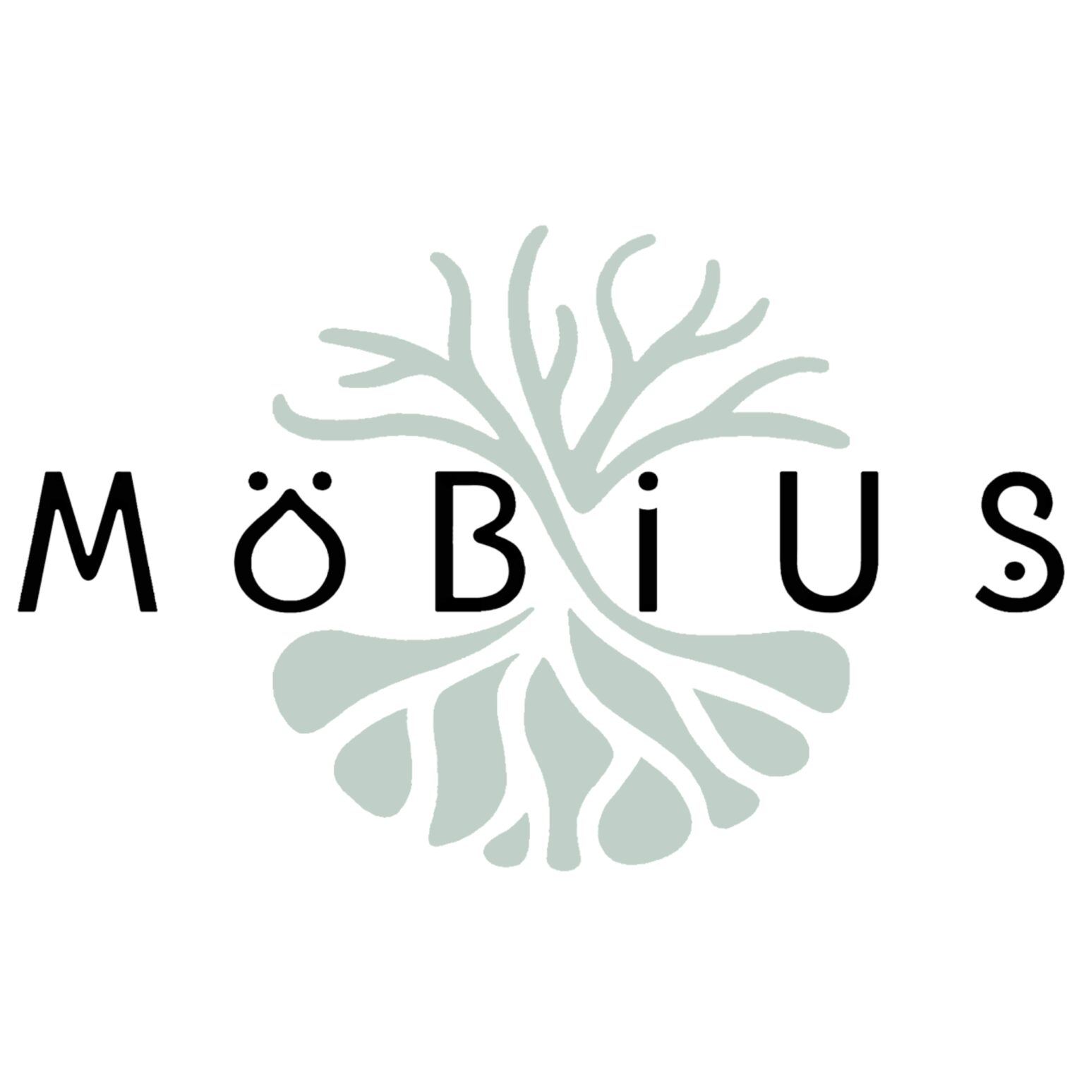 Logo MöBiUS avec arbre vert d'eau, racines et branche en forme de symbole de l'infini