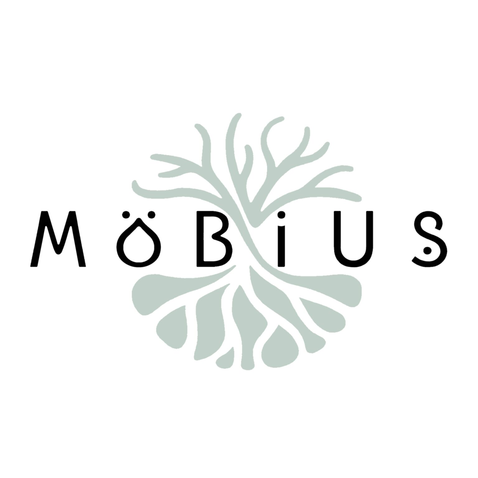 Logo MöBiUS avec arbre vert d'eau, racines et branche en forme de symbole de l'infini