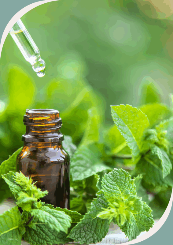 Flacon en verre ambré ouvert avec pipette contenant de l’huile essentielle de menthe poivrée, accompagné d’un bouquet de menthe fraîche en arrière-plan